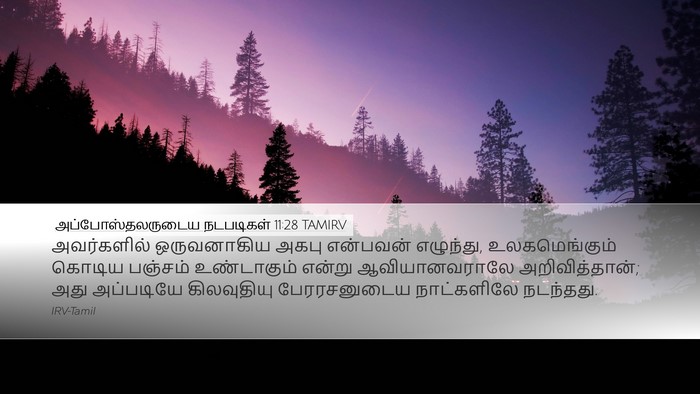 அப்போஸ்தலருடைய நடபடிகள் 11:28 TAMIRV Bible Verse Image