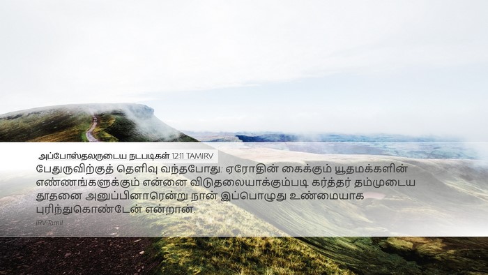 அப்போஸ்தலருடைய நடபடிகள் 12:11 TAMIRV Bible Verse Image