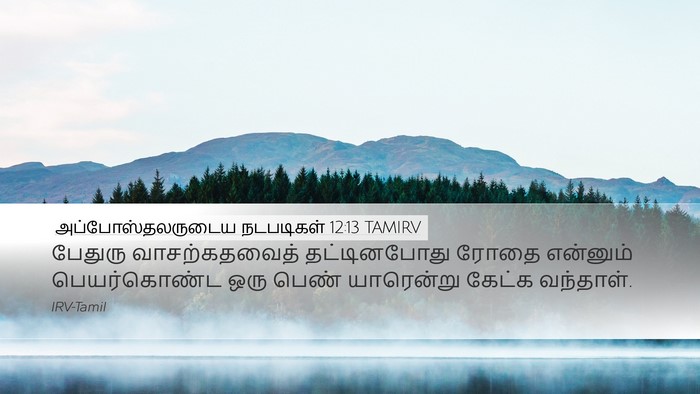 அப்போஸ்தலருடைய நடபடிகள் 12:13 TAMIRV Bible Verse Image