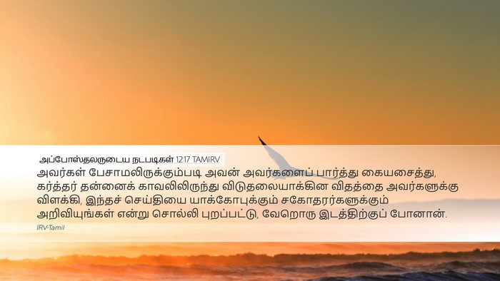 அப்போஸ்தலருடைய நடபடிகள் 12:17 TAMIRV Bible Verse Image
