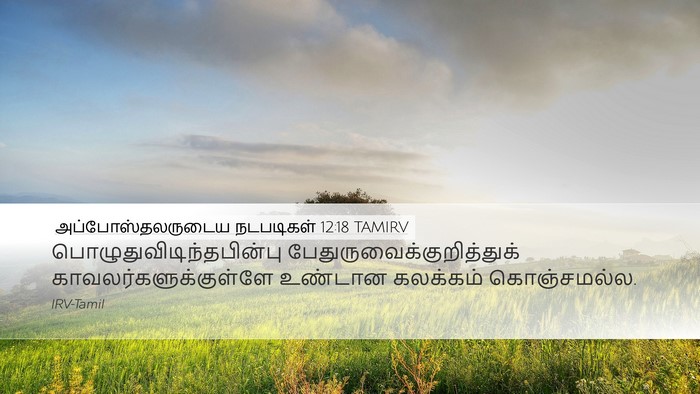 அப்போஸ்தலருடைய நடபடிகள் 12:18 TAMIRV Bible Verse Image