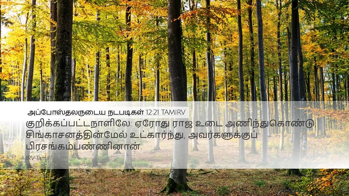அப்போஸ்தலருடைய நடபடிகள் 12:21 TAMIRV Desktop Wallpaper -  - Desktop Bible Verse Wallpaper