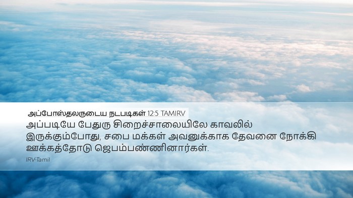 அப்போஸ்தலருடைய நடபடிகள் 12:5 TAMIRV Bible Verse Image