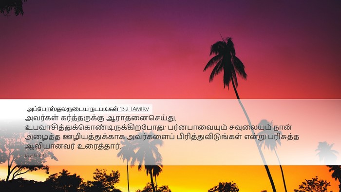 அப்போஸ்தலருடைய நடபடிகள் 13:2 TAMIRV Bible Verse Image