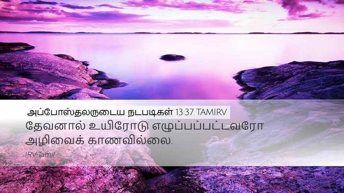 அப்போஸ்தலருடைய நடபடிகள் 13:37 TAMIRV Bible Verse Image