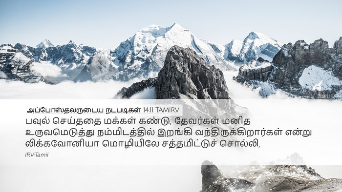 அப்போஸ்தலருடைய நடபடிகள் 14:11 TAMIRV Bible Verse Image