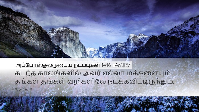 அப்போஸ்தலருடைய நடபடிகள் 14:16 TAMIRV Bible Verse Image