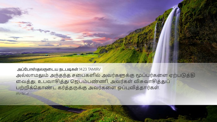 அப்போஸ்தலருடைய நடபடிகள் 14:23 TAMIRV Bible Verse Image