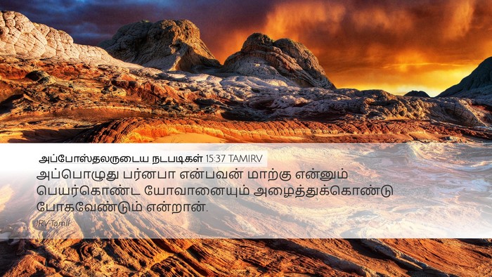 அப்போஸ்தலருடைய நடபடிகள் 15:37 TAMIRV Bible Verse Image