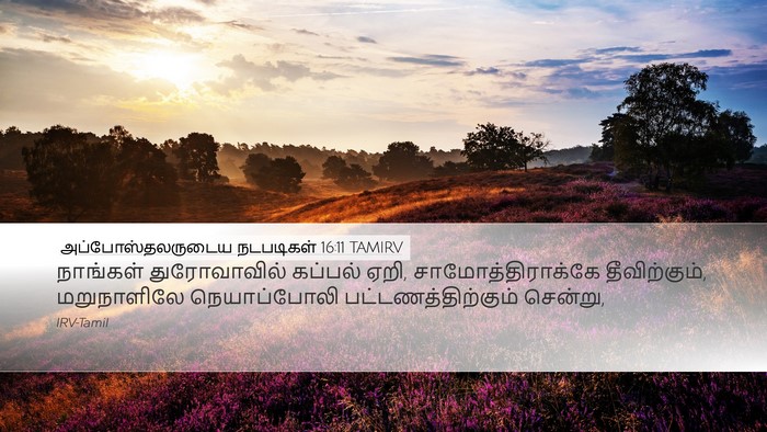 அப்போஸ்தலருடைய நடபடிகள் 16:11 TAMIRV Bible Verse Image