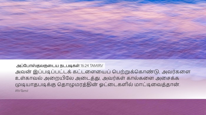 அப்போஸ்தலருடைய நடபடிகள் 16:24 TAMIRV Bible Verse Image