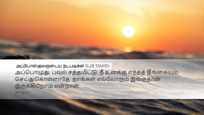 அப்போஸ்தலருடைய நடபடிகள் 16:28 TAMIRV Desktop Wallpaper - அப்பொழுது, பவுல் - Desktop Bible Verse Wallpaper