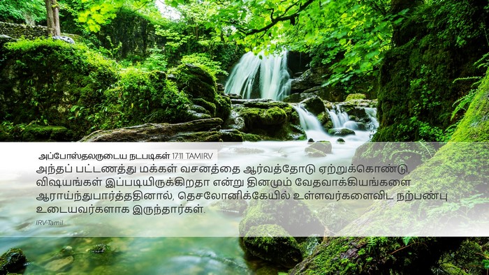 அப்போஸ்தலருடைய நடபடிகள் 17:11 TAMIRV Bible Verse Image
