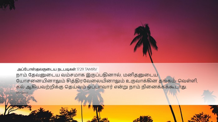 அப்போஸ்தலருடைய நடபடிகள் 17:29 TAMIRV Bible Verse Image