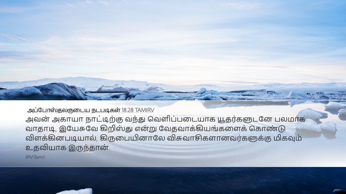 அப்போஸ்தலருடைய நடபடிகள் 18:28 TAMIRV Bible Verse Image