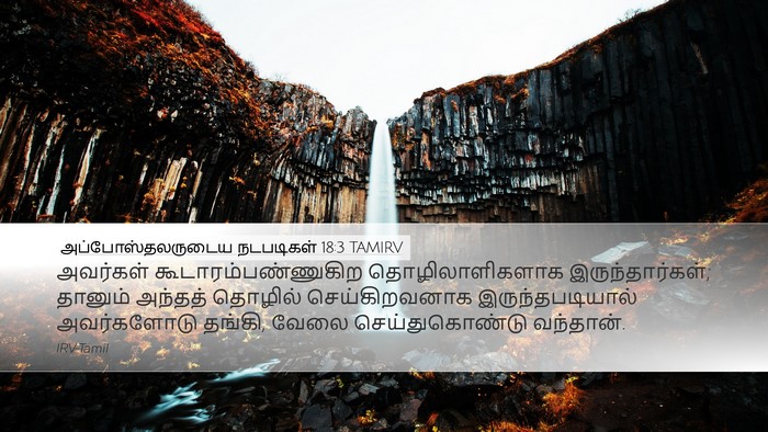 அப்போஸ்தலருடைய நடபடிகள் 18:3 TAMIRV Bible Verse Image