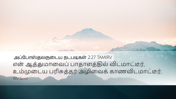 அப்போஸ்தலருடைய நடபடிகள் 2:27 TAMIRV Bible Verse Image