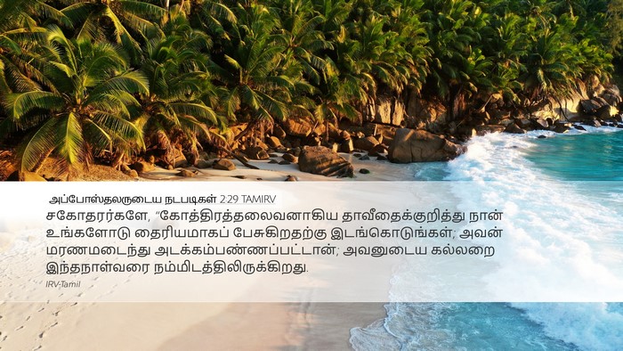 அப்போஸ்தலருடைய நடபடிகள் 2:29 TAMIRV Bible Verse Image