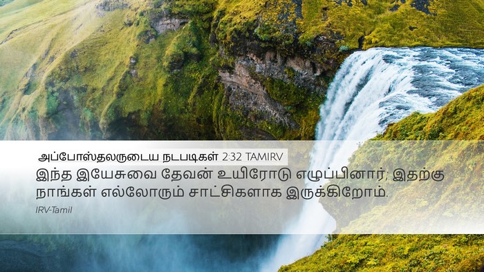 அப்போஸ்தலருடைய நடபடிகள் 2:32 TAMIRV Bible Verse Image
