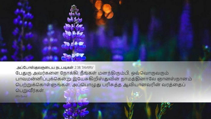 அப்போஸ்தலருடைய நடபடிகள் 2:38 TAMIRV Bible Verse Image