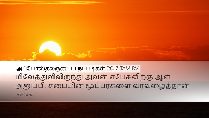 அப்போஸ்தலருடைய நடபடிகள் 20:17 TAMIRV Bible Verse Image