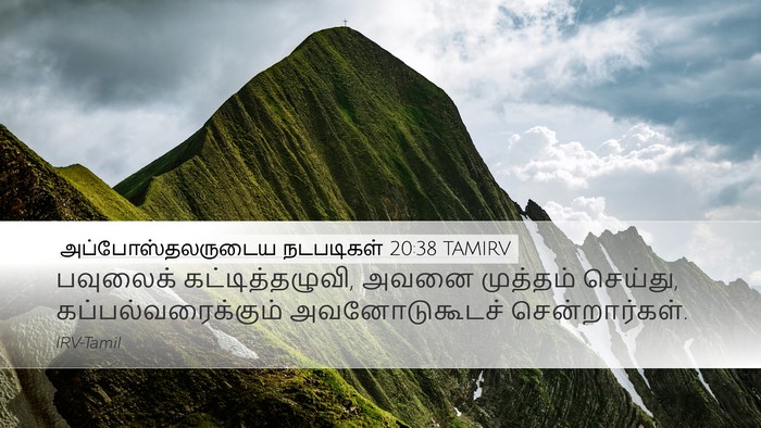 அப்போஸ்தலருடைய நடபடிகள் 20:38 TAMIRV Bible Verse Image