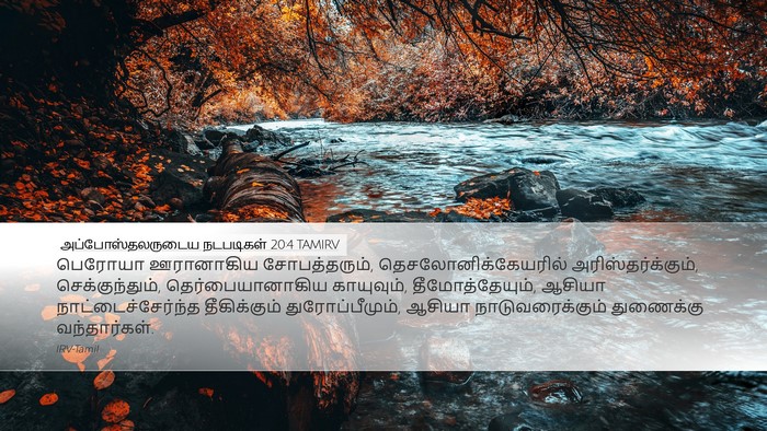 அப்போஸ்தலருடைய நடபடிகள் 20:4 TAMIRV Bible Verse Image