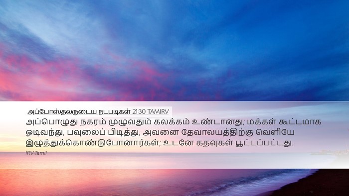 அப்போஸ்தலருடைய நடபடிகள் 21:30 TAMIRV Bible Verse Image