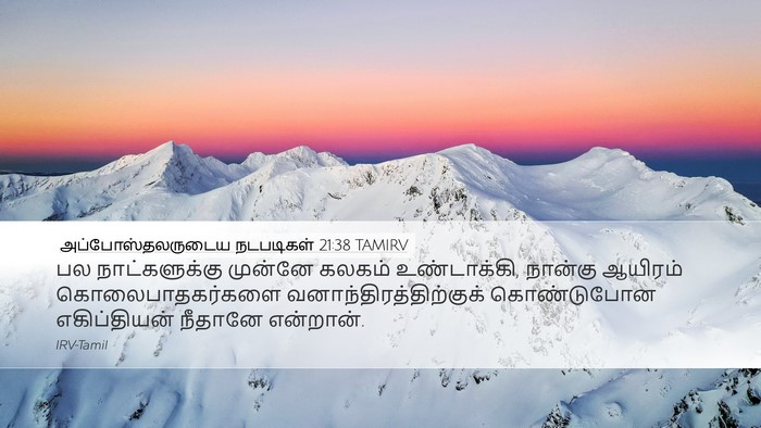 அப்போஸ்தலருடைய நடபடிகள் 21:38 TAMIRV Bible Verse Image