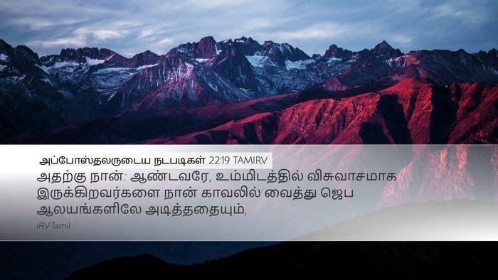 அப்போஸ்தலருடைய நடபடிகள் 22:19 TAMIRV Bible Verse Image