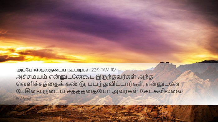 அப்போஸ்தலருடைய நடபடிகள் 22:9 TAMIRV Bible Verse Image