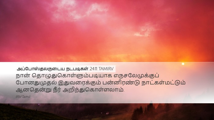 அப்போஸ்தலருடைய நடபடிகள் 24:11 TAMIRV Desktop Wallpaper - நான் - Desktop Bible Verse Wallpaper