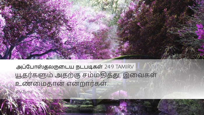 அப்போஸ்தலருடைய நடபடிகள் 24:9 TAMIRV Desktop Wallpaper - யூதர்களும் அதற்கு - Desktop Bible Verse Wallpaper