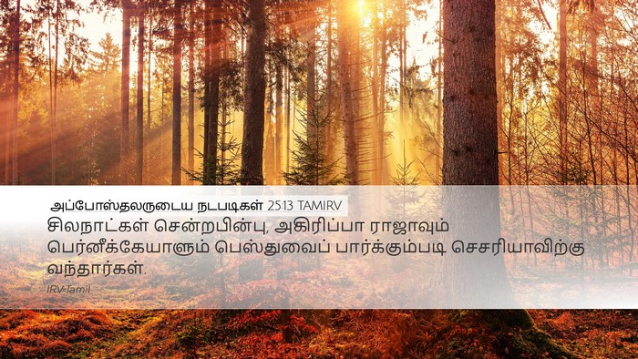 அப்போஸ்தலருடைய நடபடிகள் 25:13 TAMIRV Bible Verse Image