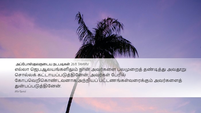 அப்போஸ்தலருடைய நடபடிகள் 26:11 TAMIRV Bible Verse Image