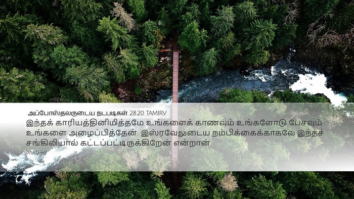 அப்போஸ்தலருடைய நடபடிகள் 28:20 TAMIRV Bible Verse Image