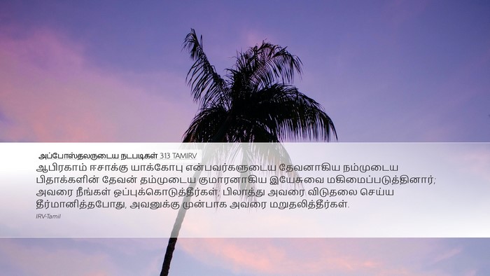 அப்போஸ்தலருடைய நடபடிகள் 3:13 TAMIRV Bible Verse Image