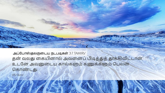 அப்போஸ்தலருடைய நடபடிகள் 3:7 TAMIRV Bible Verse Image