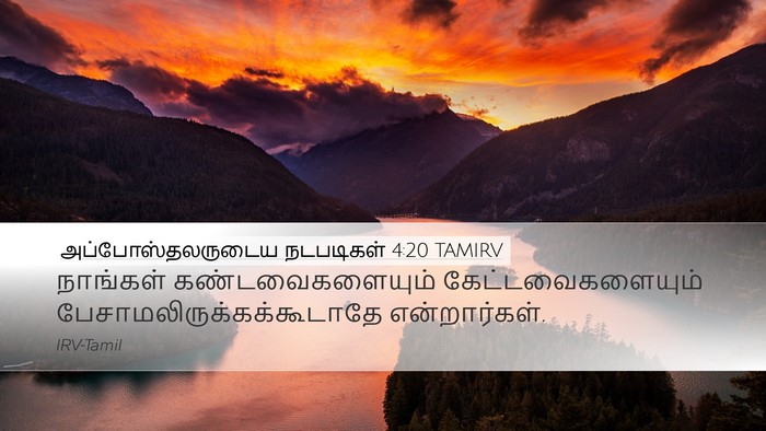 அப்போஸ்தலருடைய நடபடிகள் 4:20 TAMIRV Bible Verse Image