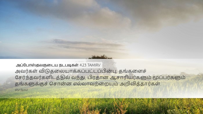 அப்போஸ்தலருடைய நடபடிகள் 4:23 TAMIRV Bible Verse Image