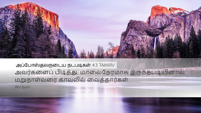 அப்போஸ்தலருடைய நடபடிகள் 4:3 TAMIRV Desktop Wallpaper - அவர்களைப் - Desktop Bible Verse Wallpaper