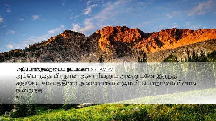 அப்போஸ்தலருடைய நடபடிகள் 5:17 TAMIRV Bible Verse Image