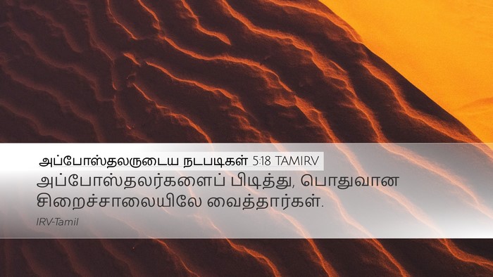 அப்போஸ்தலருடைய நடபடிகள் 5:18 TAMIRV Bible Verse Image