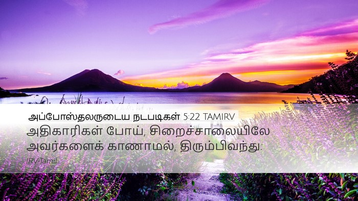 அப்போஸ்தலருடைய நடபடிகள் 5:22 TAMIRV Desktop Wallpaper - அதிகாரிகள் போய், - Desktop Bible Verse Wallpaper