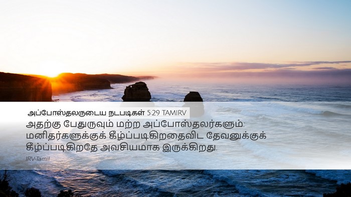 அப்போஸ்தலருடைய நடபடிகள் 5:29 TAMIRV Bible Verse Image