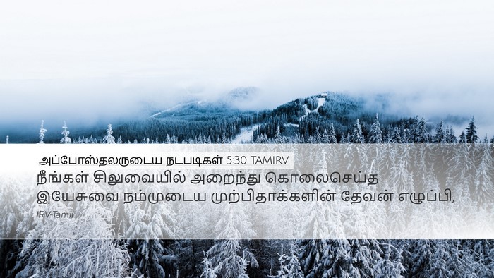 அப்போஸ்தலருடைய நடபடிகள் 5:30 TAMIRV Bible Verse Image