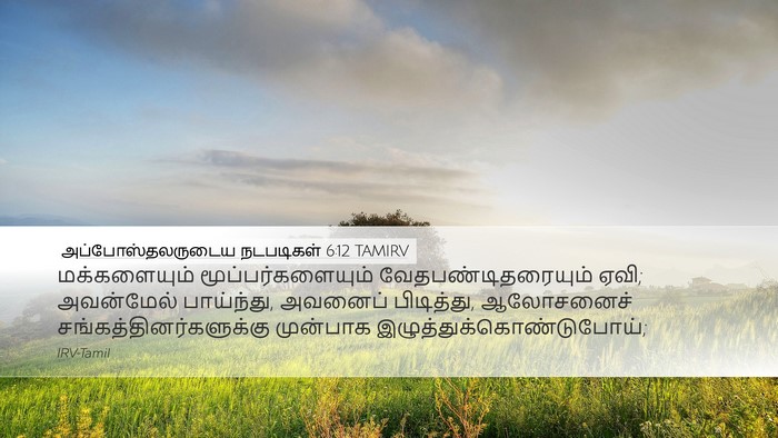 அப்போஸ்தலருடைய நடபடிகள் 6:12 TAMIRV Bible Verse Image