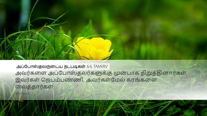 அப்போஸ்தலருடைய நடபடிகள் 6:6 TAMIRV Bible Verse Image