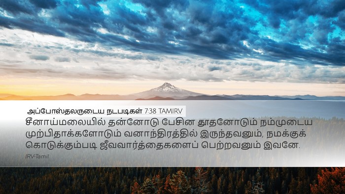 அப்போஸ்தலருடைய நடபடிகள் 7:38 TAMIRV Bible Verse Image
