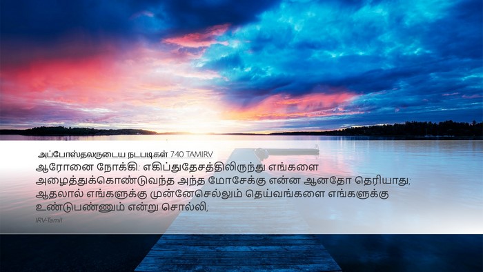 அப்போஸ்தலருடைய நடபடிகள் 7:40 TAMIRV Bible Verse Image